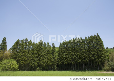 Naganan Town, Chiba Prefecture May Naganan Town, Chiba Prefecture May 40147345