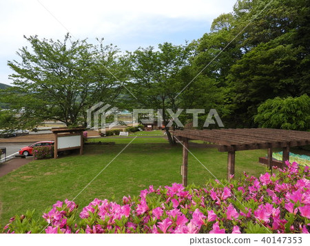 Tanna fault (Tanna fault park) Tanna fault (Tanna fault park) 40147353