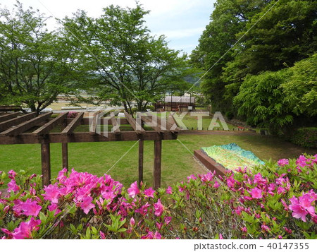 Tanna斷層（Tanna斷層公園） 40147355