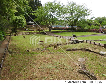 Tanna fault (Tanna fault park) 40147366