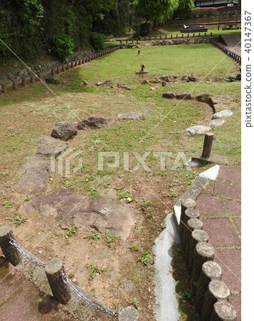 Tanna fault (Tanna fault park) 40147367