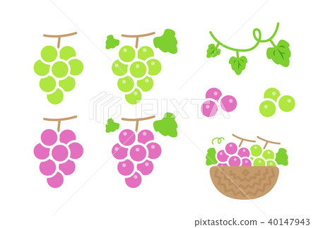 Grape Grape 40147943