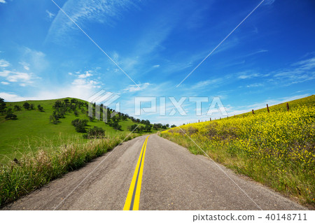 Road in the field Road in the field 40148711