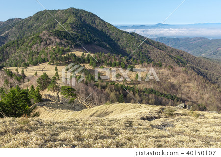 Kokanazawa Renpei 40150107