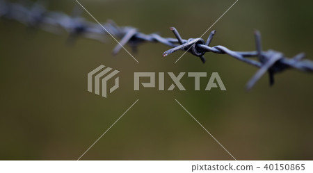 barbed wire fence 40150865