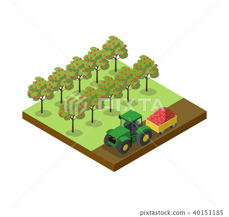 Crop harvesting in orchard isometric 3D element 40151185