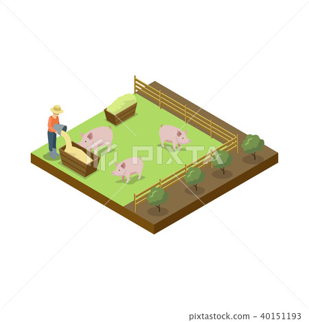 Pigs breeding on ranch isometric 3D element Pigs breeding on ranch isometric 3D element 40151193