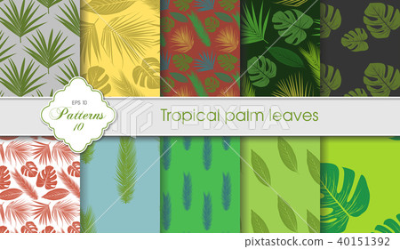 Vector hand drawing set of tropical backgrounds Vector hand drawing set of tropical backgrounds 40151392