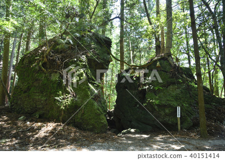 Amano Iwato Muro Ryuna Shrine（奈良縣宇都市） 40151414