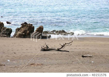 伊良湖 伊良湖 40151576