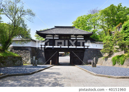 Old-fashioned garden 40151960