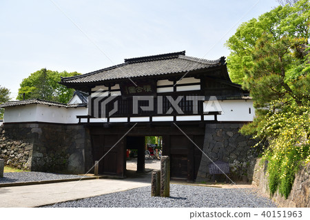 Old-fashioned garden 40151963