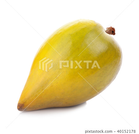 Egg fruit, Canistel, Yellow Sapote 40152178
