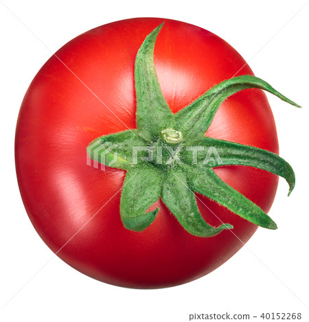 Globe tomato top view, calyx up 40152268
