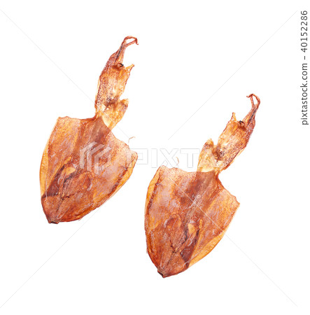 plenty of dried squids on white background 40152286