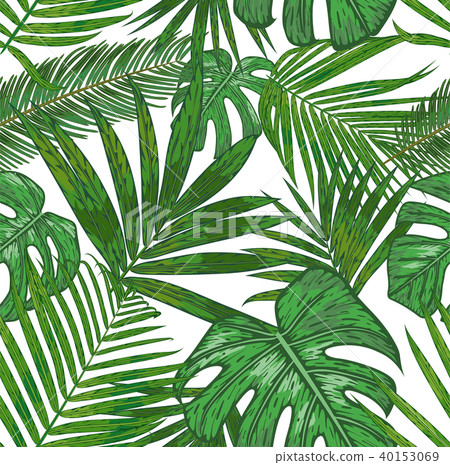 Vector seamless pattern of tropical palm leaves Vector seamless pattern of tropical palm leaves 40153069