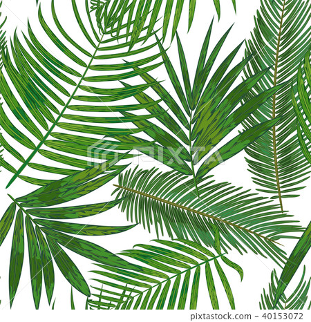 Vector  Seamless pattern of  tropical palm leaves 40153072