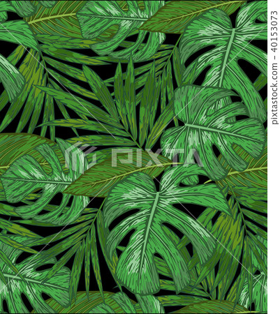 Hand drawing a Seamless pattern of tropical palm Hand drawing a Seamless pattern of tropical palm 40153073
