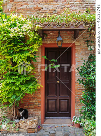 Entrance to the old Italian house and the cat Entrance to the old Italian house and the cat 40153748