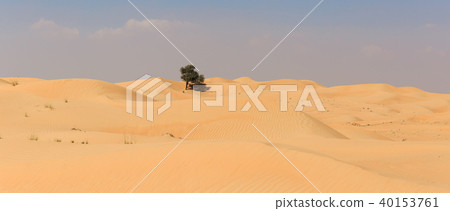 Arabian desert Arabian desert 40153761