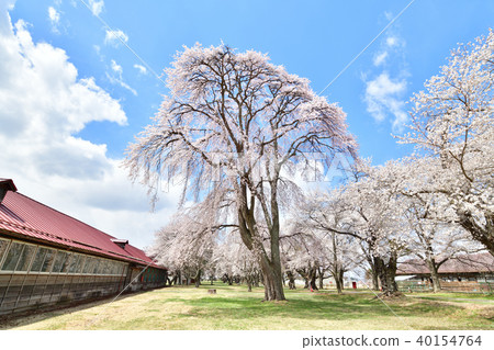 Saku Nagano牧場 Saku Nagano牧場 40154764