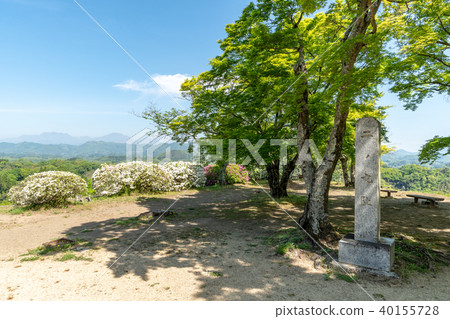 Okashiro Aoi Ninomaru追踪 40155728