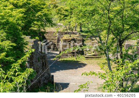 Okashiro Aoi 40156205