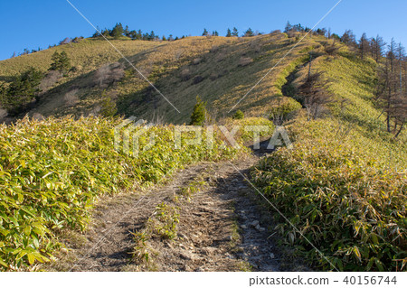 通往大川Iriyama頂部的道路 通往大川Iriyama頂部的道路 40156744