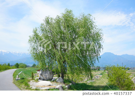Oshino Seki Monument Ayukawa, Hotaka River, Takase River Junction Azumino Spring 40157337