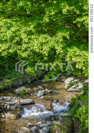 Fresh greenery and clear streams Fresh greenery and clear streams 40158018