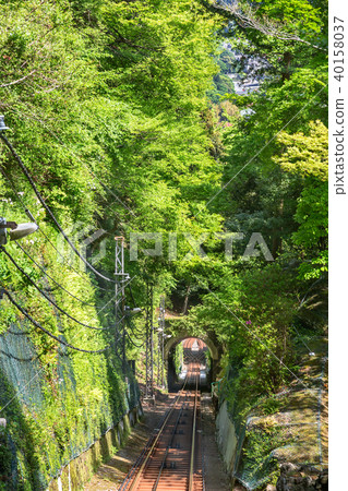 新鮮的綠色和纜車軌道 新鮮的綠色和纜車軌道 40158037
