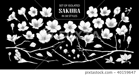 Set of isolated white silhouette sakura. Set of isolated white silhouette sakura. 40159647