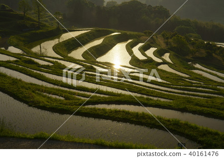 Oyama Senmaida The Time Of Rice Planting Stock Photo