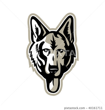 Alsatian Wolf Dog Head Mascot Alsatian Wolf Dog Head Mascot 40161711