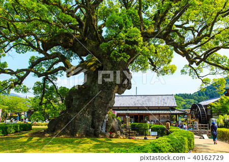 Kawagoi Daigo [佐賀縣武雄市] 40162729