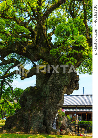 Kawagoi Daigo [佐賀縣武雄市] 40162730