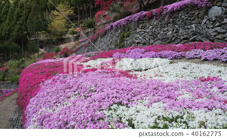 Misago Takaraishi Shizuku-part5 Misago Takaraishi Shizuku-part5 40162775