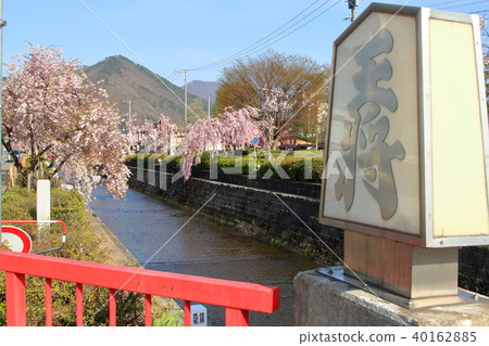 天童櫻花節王將軍橋 天童櫻花節王將軍橋 40162885