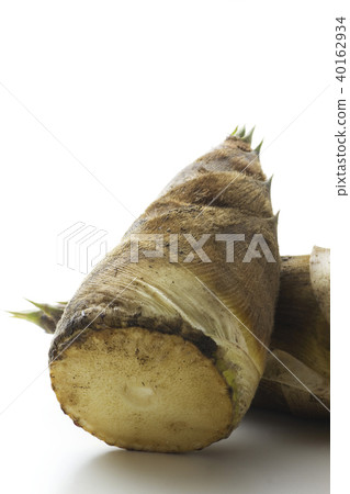 Bamboo shoot 6 40162934