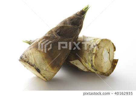 Bamboo shoot 7 40162935