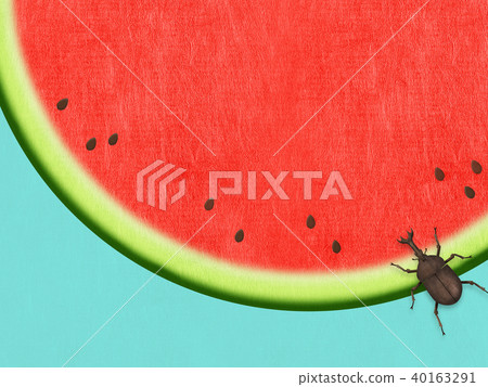 Background-Washi-Watermelon-Beetle 40163291