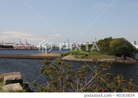 Landscape of Koto Ward Odaiba Landscape of Koto Ward Odaiba 40163654