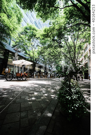 Marunouchi Naka Dori 40164253