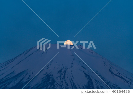 "Yamanashi Prefecture" Pearl Fuji, natural phenomena "at Lake Yamanaka" 40164436