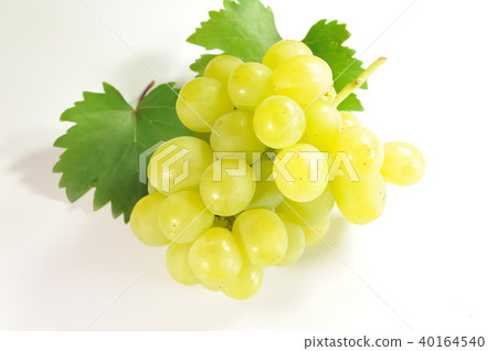 Grape Rosario Bianco 40164540