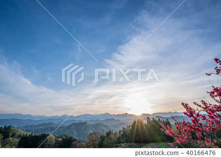 阿爾卑斯觀察廣場的晚上視圖 阿爾卑斯觀察廣場的晚上視圖 40166476