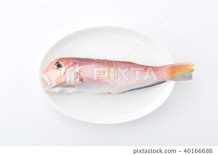 Sweet bream Sweet bream 40166686