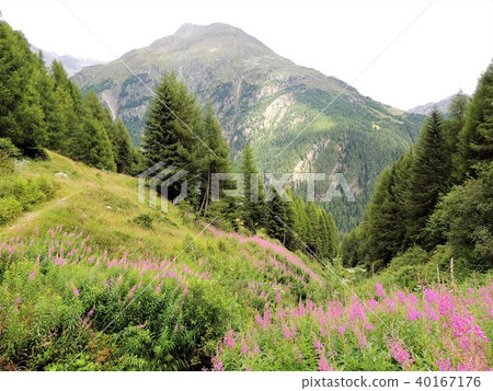 Selden's hike 8 Selden's hike 8 40167176