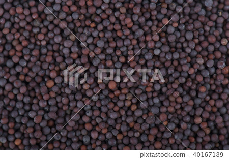Black mustard seeds background. Close-up of mustard seeds Black mustard seeds background. Close-up of mustard seeds 40167189
