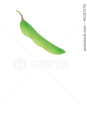 蔬菜綠色大豆 40167276